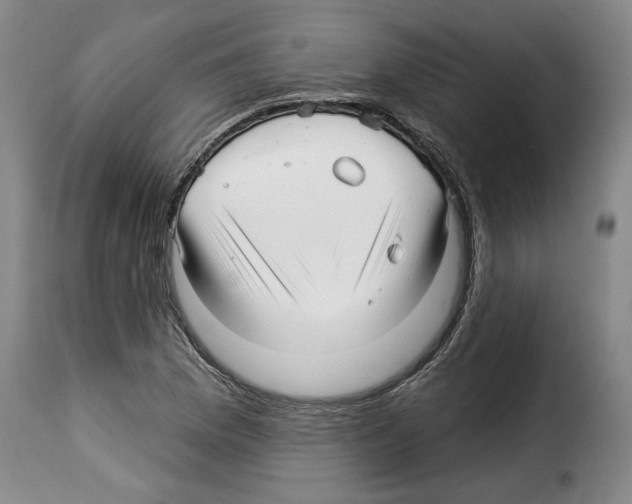 X0000114211169200911201016