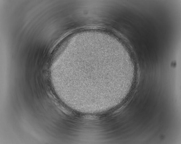 X0000114211170200911201016