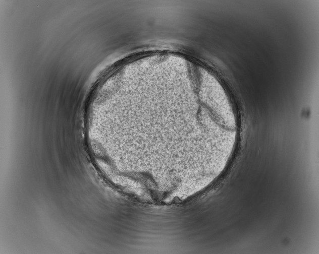 X0000114211172200911201016