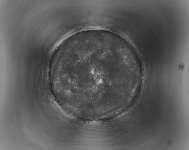 X0000114211173200911201016
