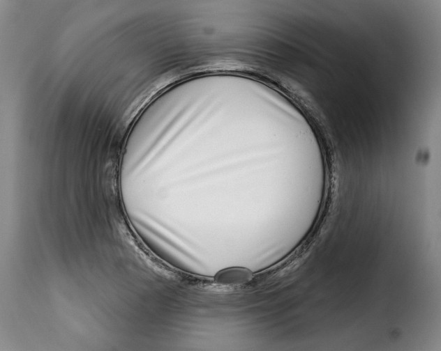 X0000114211177200911201016