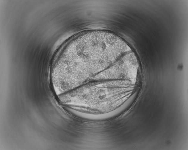 X0000114211179200911201016