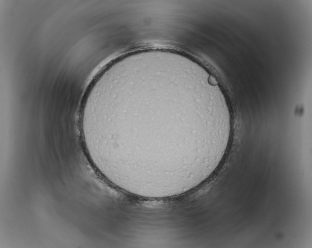 X0000114211182200911201016