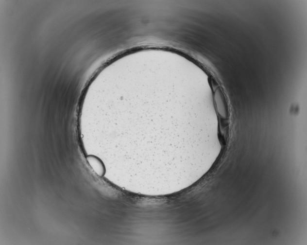 X0000114211183200911201016