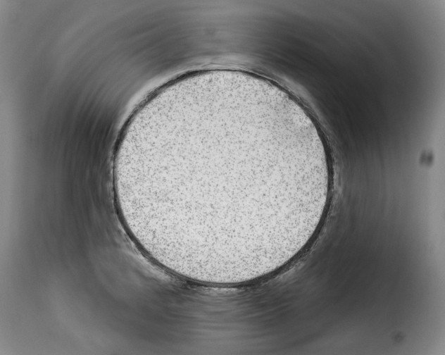 X0000114211184200911201016
