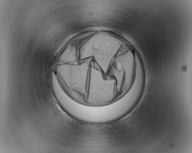 X0000114211185200911201016