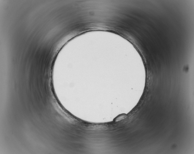X0000114211187200911201016
