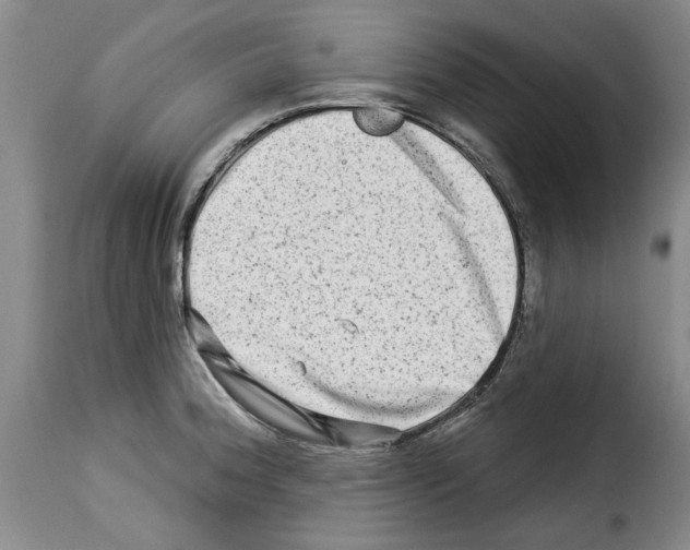X0000114211188200911201016
