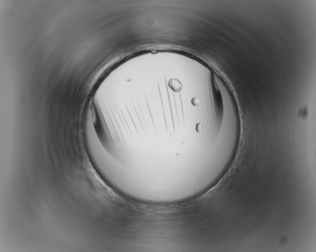 X0000114211189200911201016
