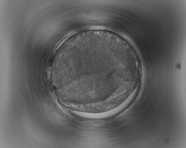 X0000114211193200911201016