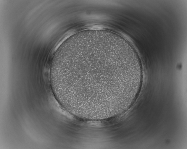 X0000114211194200911201016