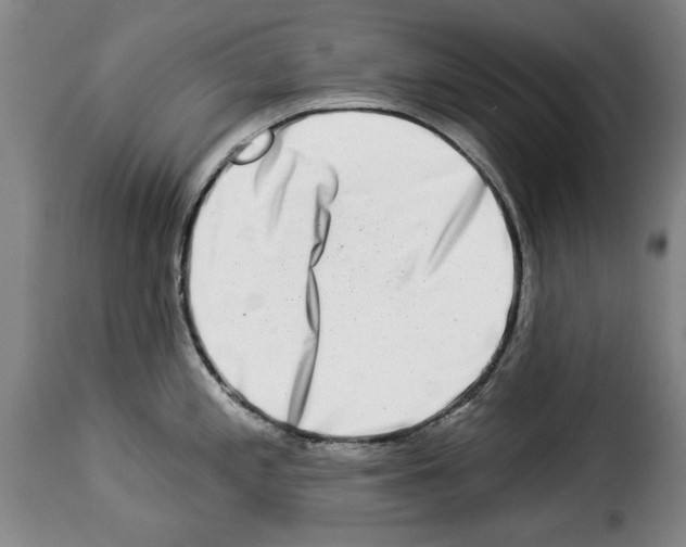 X0000114211197200911201016
