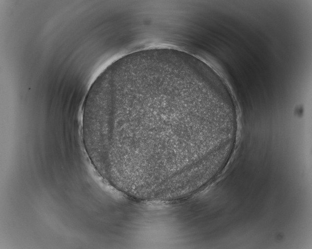 X0000114211198200911201016