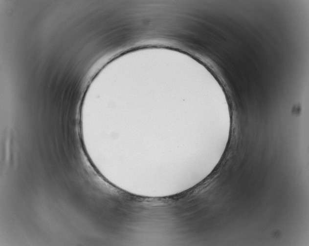 X0000114211199200911201016