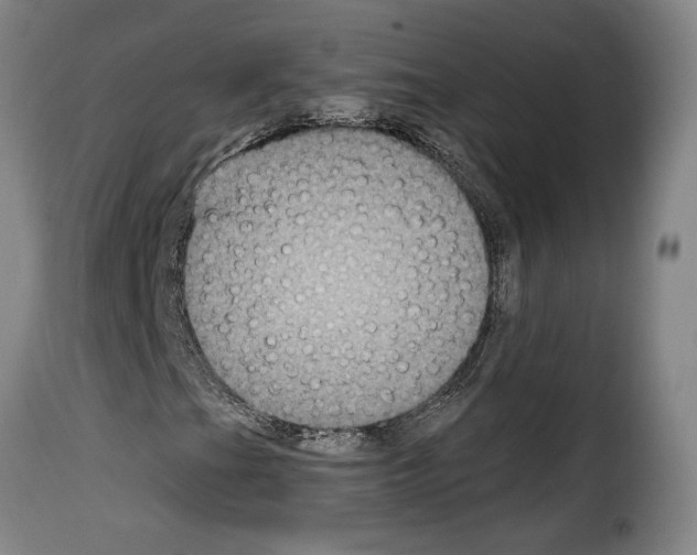X0000114211201200911201015