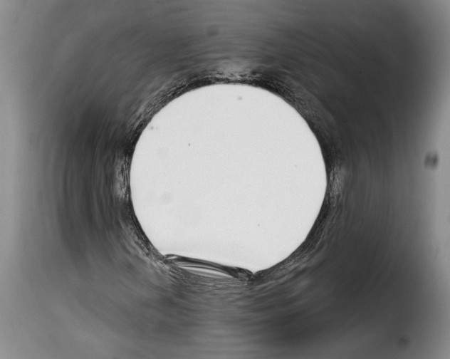 X0000114211202200911201015