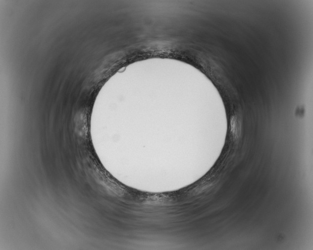X0000114211203200911201015