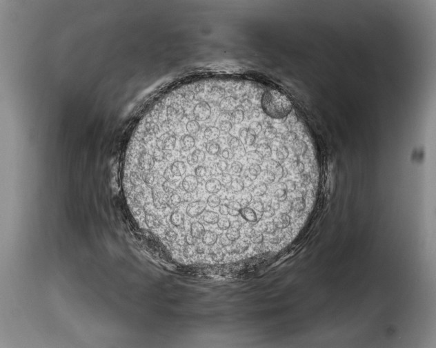 X0000114211205200911201015