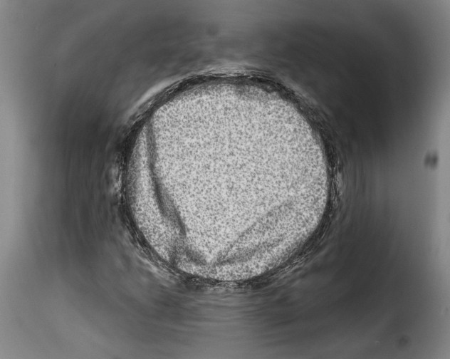 X0000114211206200911201015