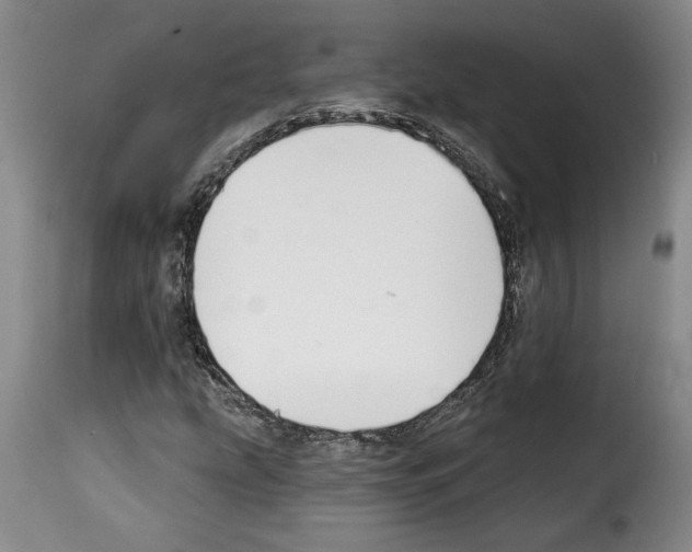 X0000114211207200911201015