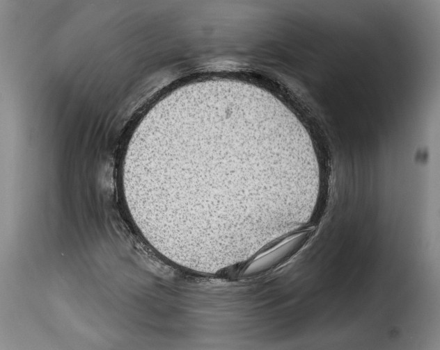 X0000114211209200911201015