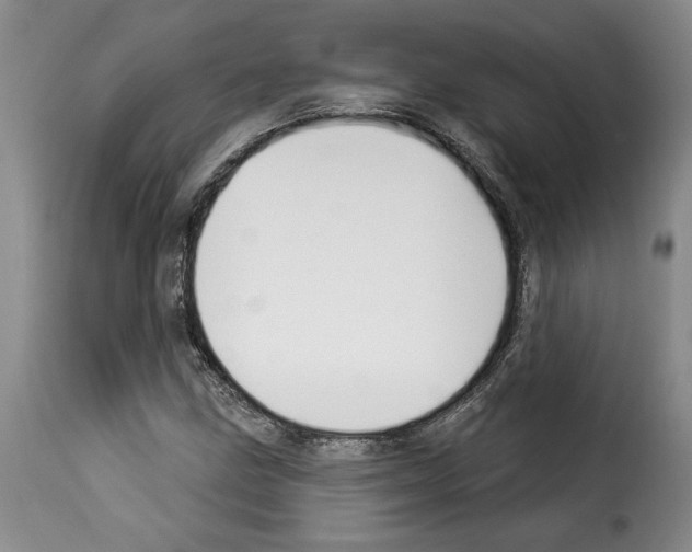 X0000114211211200911201015