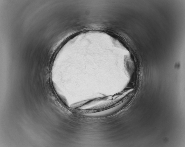 X0000114211212200911201015