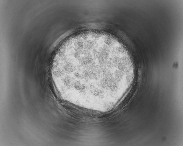 X0000114211213200911201015