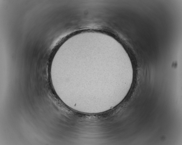 X0000114211214200911201015