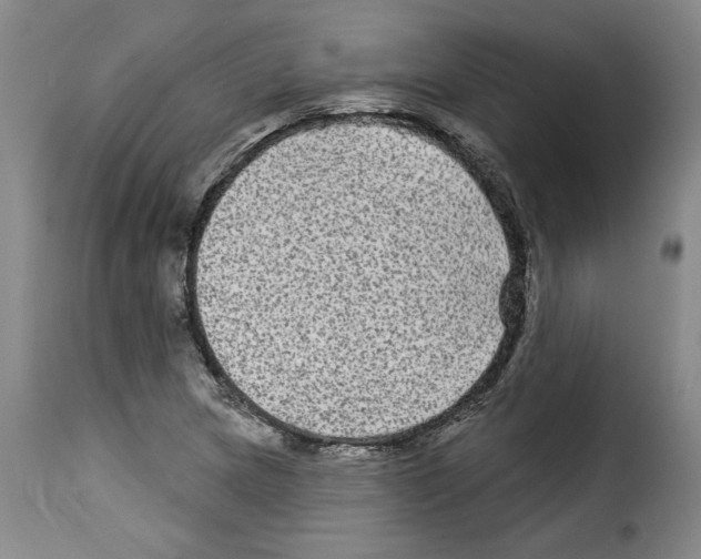X0000114211217200911201015