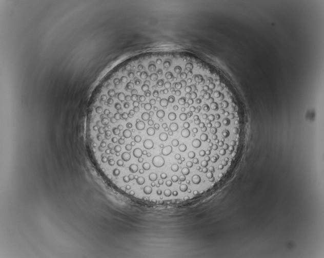X0000114211220200911201015