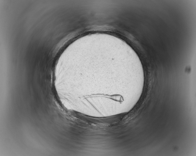 X0000114211221200911201015