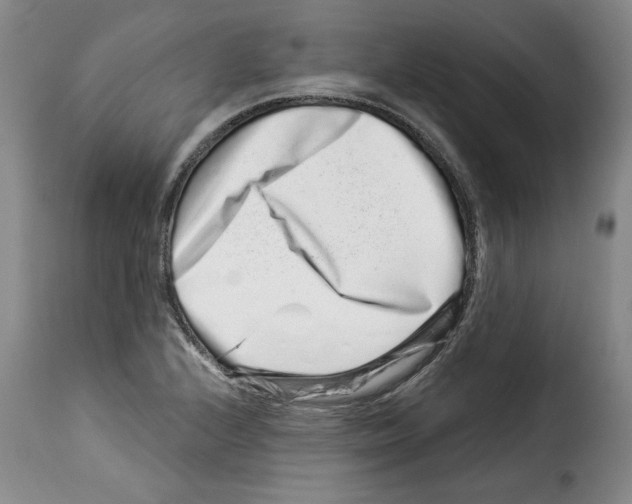 X0000114211224200911201015