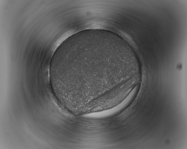 X0000114211226200911201015