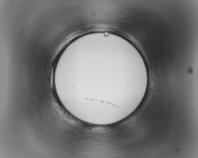 X0000114211227200911201015