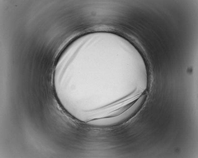 X0000114211228200911201015