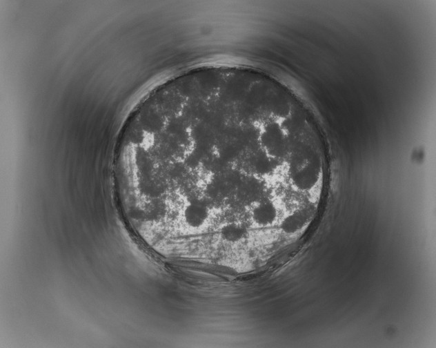 X0000114211229200911201015