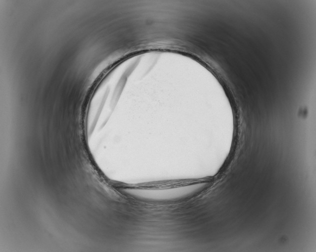 X0000114211230200911201015