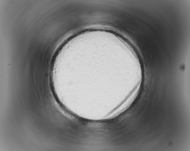 X0000114211237200911201015