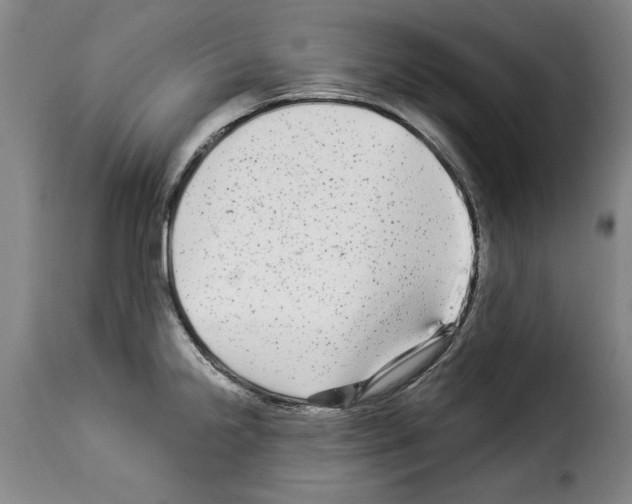 X0000114211238200911201015