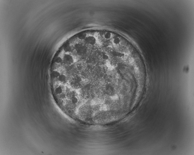 X0000114211239200911201015