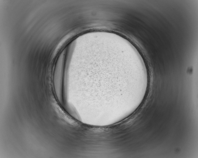 X0000114211240200911201015
