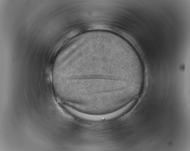 X0000114211241200911201015