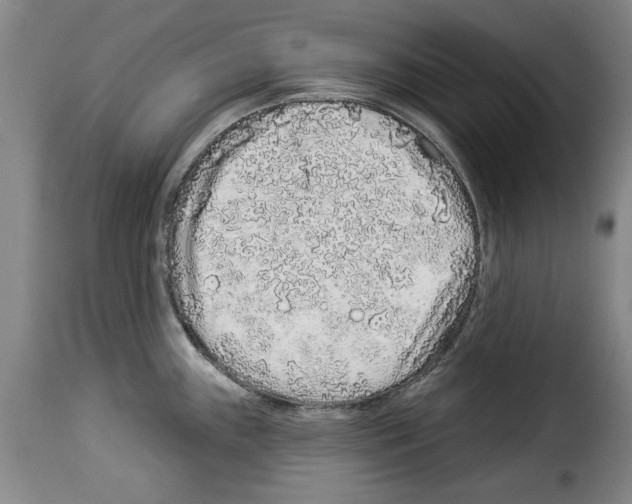 X0000114211243200911201015