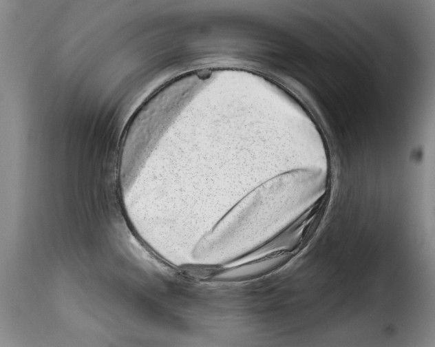 X0000114211244200911201015