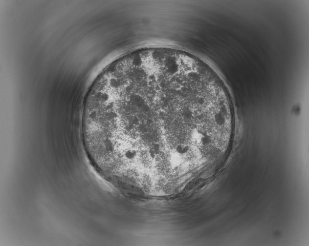 X0000114211245200911201015