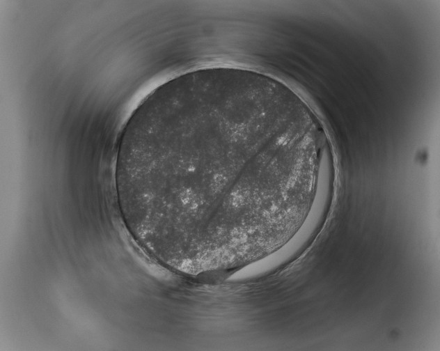 X0000114211246200911201016