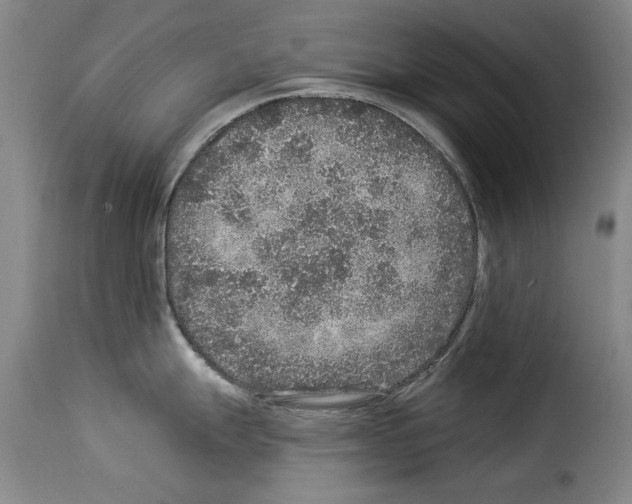 X0000114211247200911201016