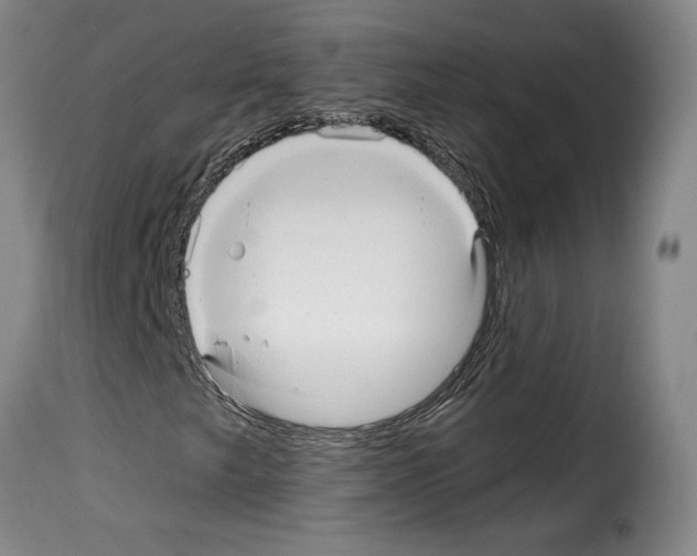 X0000114211249200911201015