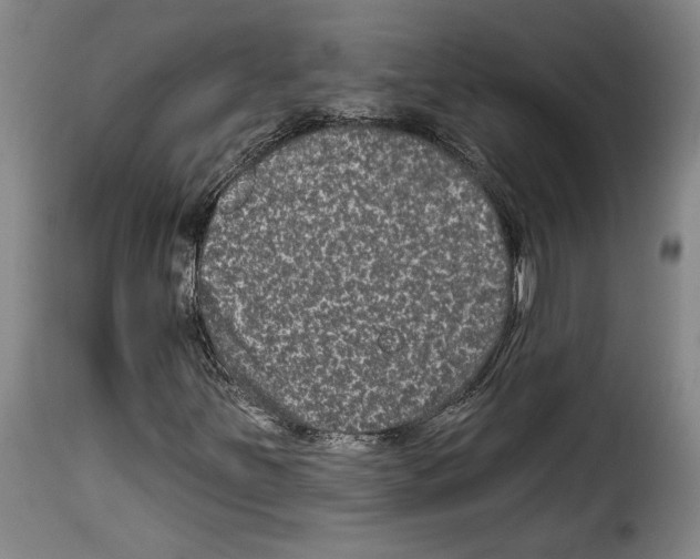X0000114211251200911201015